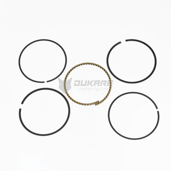 RINES   DK250-L  DK250-TZ  DK250-X