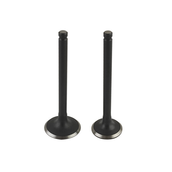 VALVULA DE ADMISION 23mm Y ESCAPE 20mm DQ PICO CORTO 110CC XY125 30A