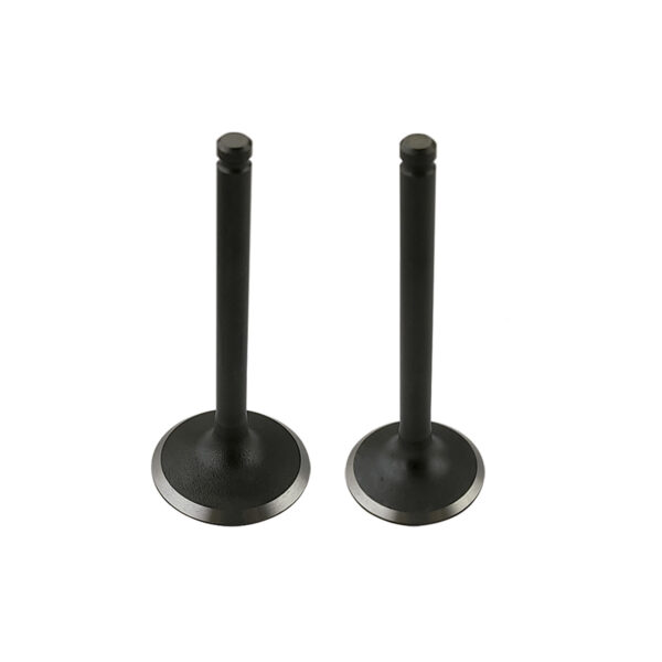VALVULA ADMISION 27mmY ESCAPE 23mm(PICO CORTO) FC PIT BIKE FX150