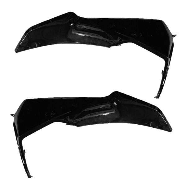 LATERAL MASCARILLA NEGRO PAR
