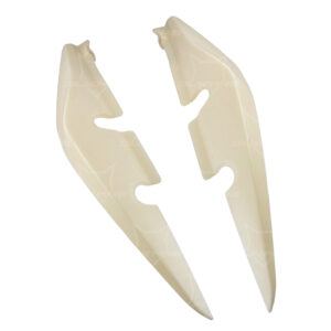 LATERAL POSTERIOR PAR