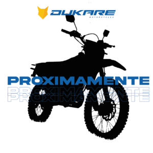 DK300-R